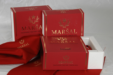 MARSAL_3