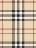 Burberry-Pattern_t