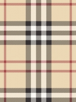 Burberry-Pattern_t