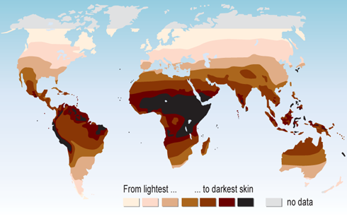 04-skin-color-map_cl