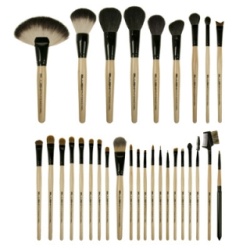 10145212-blush-professional-30-piece-ultimate-make-up-brush