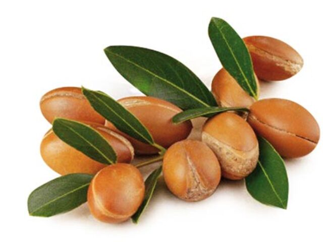 Trendi sastojci 2009. godine