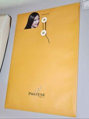 pantene fascikla