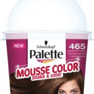 Palette mousse color – farba za kosu