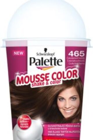 Palette mousse color – farba za kosu