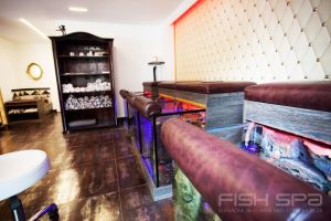 Fish Spa Slovacka 26 Novi Sad