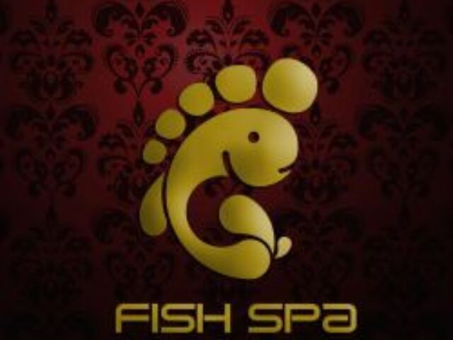 Fish Spa u Novom Sadu