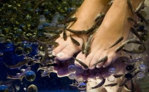 fish spa pedicure - riblji pedikir