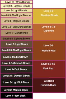 Haircolor levels