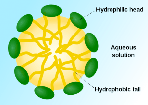 Micelle_scheme