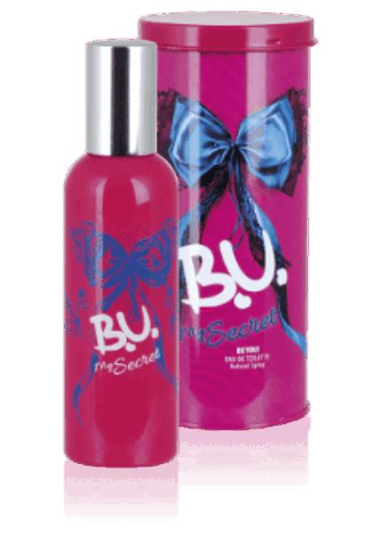 b-u-my-secret-data