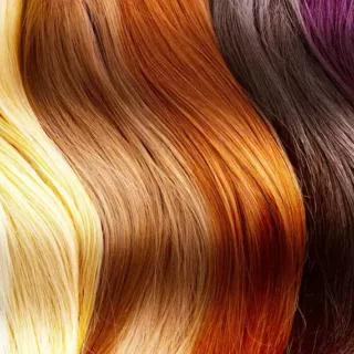 Kako izabrati idealnu farbu, kako odrediti podton i boju kose u 2023. godini